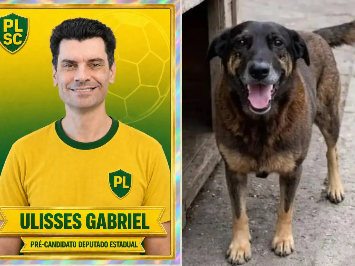 Caso orelha