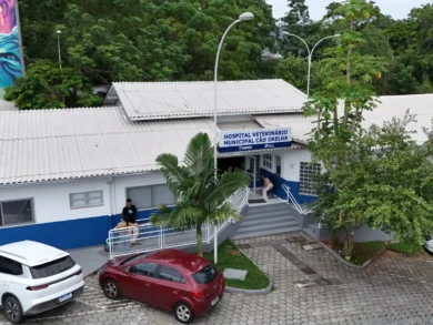 Hospital Veterinário Municipal de Florianópolis supera 3,4 mil procedimentos no primeiro mês de funcionamento