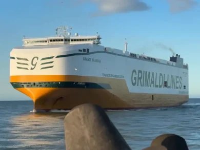 Porto de Itajaí recebe navio com mais de 4,5 mil veículos da BYD e reforça protagonismo logístico no país