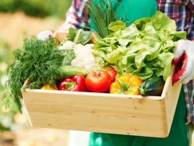 Hortas comunitárias transformam áreas abandonadas em espaços de alimento, renda e convivência em São José