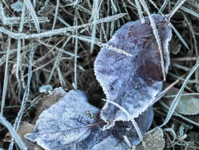 Massa de ar frio derruba temperaturas e deixa mar agitado em Florianópolis