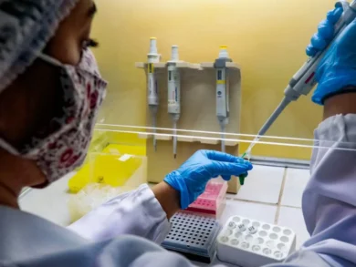 UFSC ganha destaque mundial com 37 pesquisadores influentes