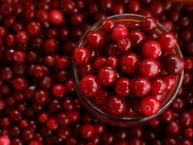 Cranberry ganha espaço como aliado na saúde