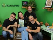Expansão da cannabis expõe falta de formação técnica no BR