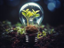 Projeto Conexões em Teias no Energy Summit traz inovação