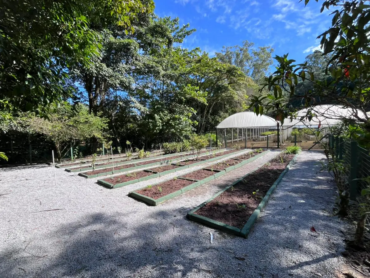 Horta Medicinal do Parque dos Sabiás é inaugurada com mais de 200 mudas em São José