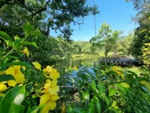 São José encerra Mês do Meio Ambiente com premiação de concurso de desenho e espetáculo aberto ao público
