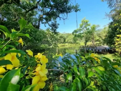 São José encerra Mês do Meio Ambiente com premiação de concurso de desenho e espetáculo aberto ao público
