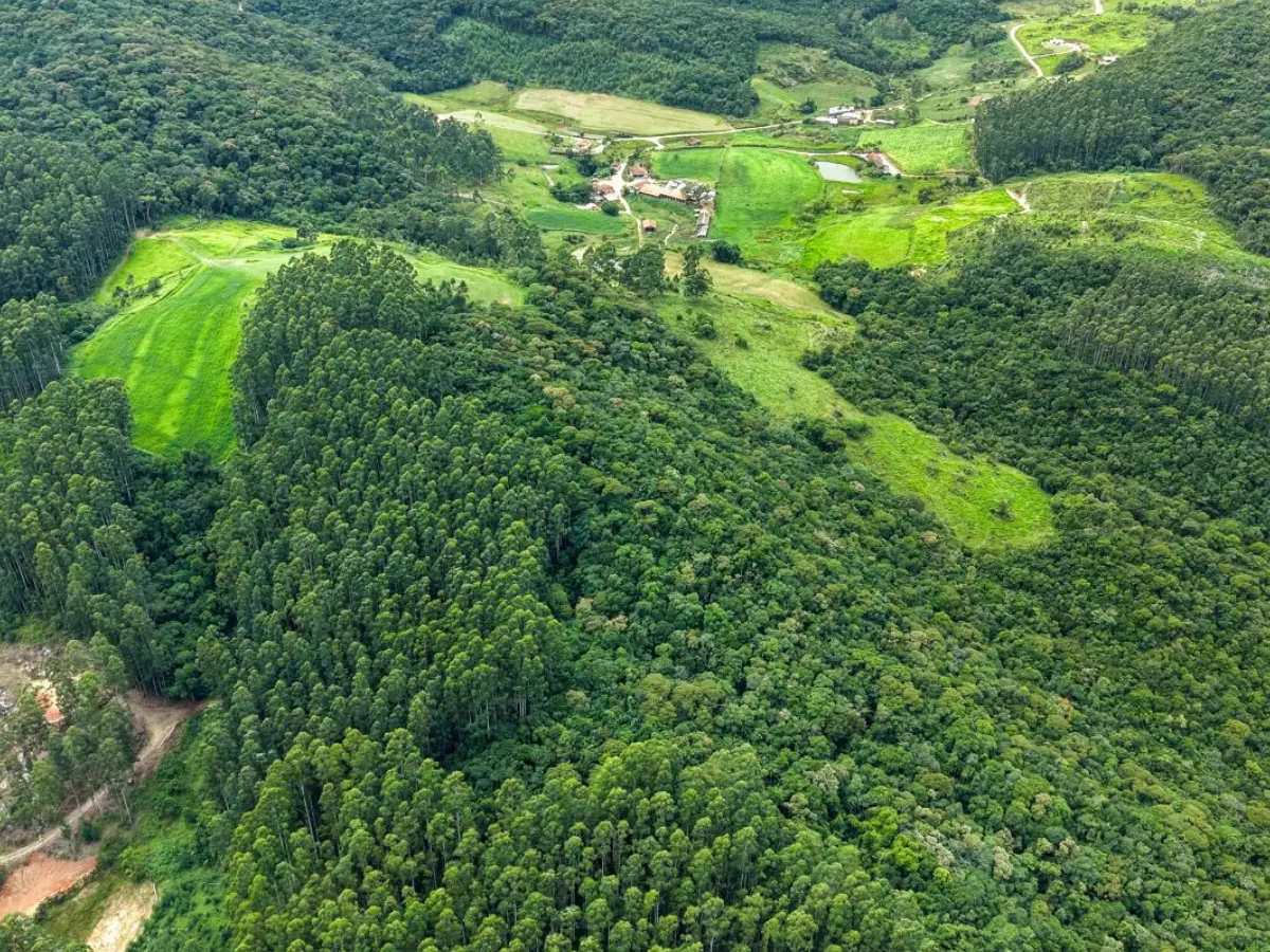 Santa Catarina lança programa que pagará produtores rurais pela preservação de vegetação nativa