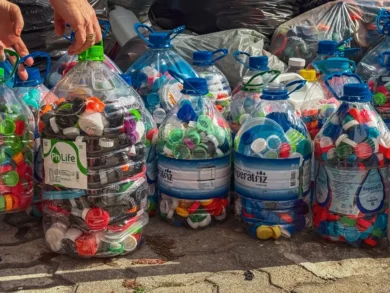 São José arrecada uma tonelada de tampinhas plásticas e reforça apoio à causa animal e à reciclagem