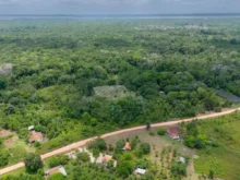 Titulação de territórios quilombolas pode mudar realidade em Santa Catarina