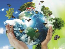 Mudanças climáticas estão no foco do Dia do Meio Ambiente