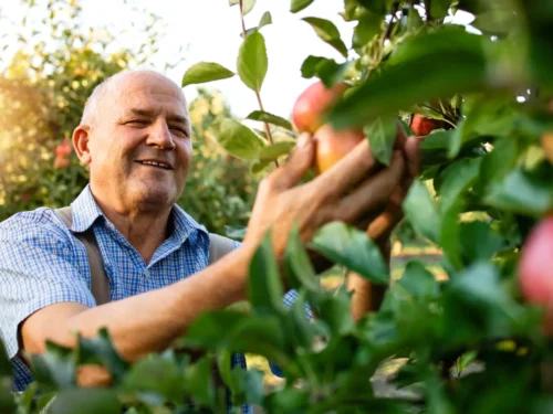 Agronegócio em Santa Catarina recebe mais de R$ 23 milhões em investimentos do Sebrae