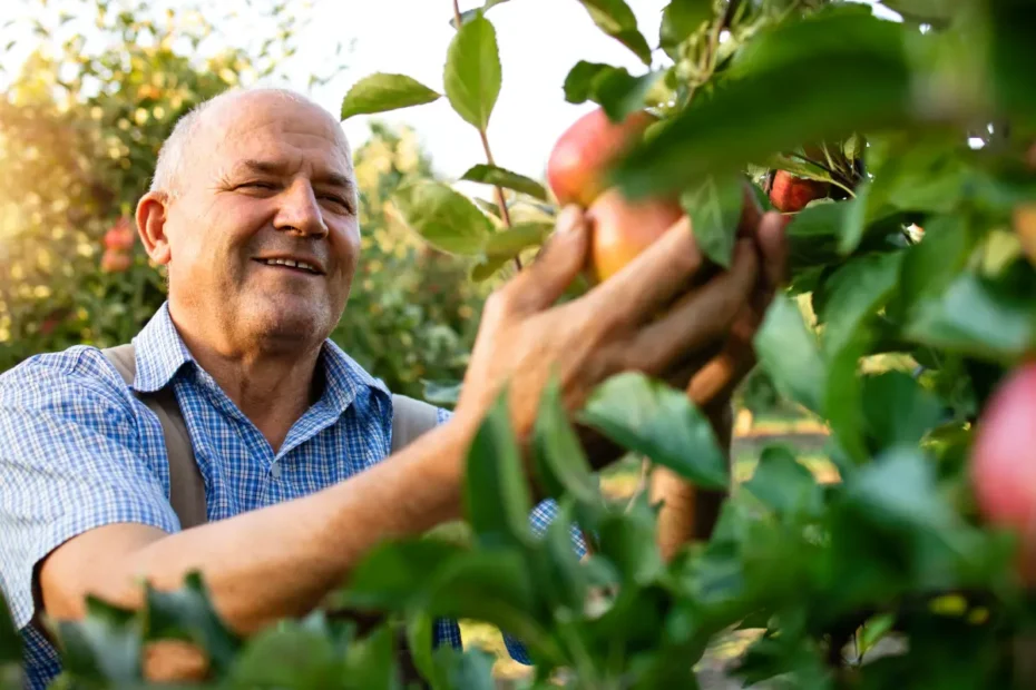 Agronegócio em Santa Catarina recebe mais de R$ 23 milhões em investimentos do Sebrae
