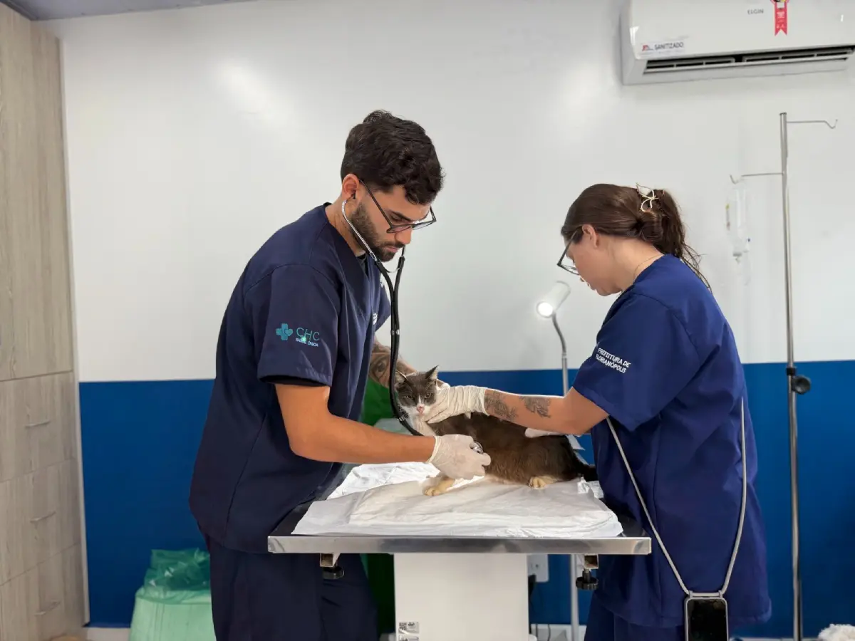 Hospital Veterinário Municipal de Florianópolis supera 40 mil procedimentos nos três primeiros meses