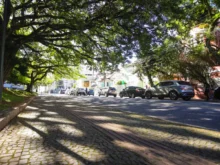 PMArbo Floripa abre consulta pública para moradores contribuírem com plano de arborização de Florianópolis