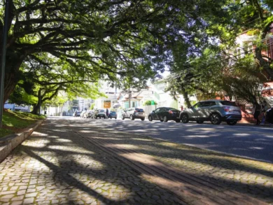 PMArbo Floripa abre consulta pública para moradores contribuírem com plano de arborização de Florianópolis