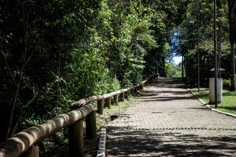 Um Dia no Parque no Morro da Cruz: trilhas, oficinas e cultura gratuitas