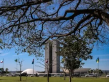 Violência sexual digital contra crianças: Senado aprova projeto que aumenta penas e reforça proteção às vítimas