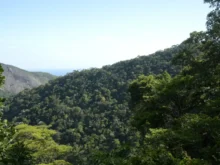 Plano de Transformação Ecológica mobiliza mais de R$ 500 bilhões para ampliar financiamento sustentável no Brasil