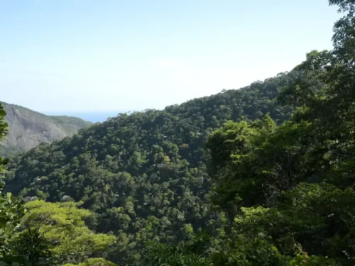 Plano de Transformação Ecológica mobiliza mais de R$ 500 bilhões para ampliar financiamento sustentável no Brasil