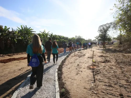 Voluntariado de estudantes cria parque e recupera áreas em São José