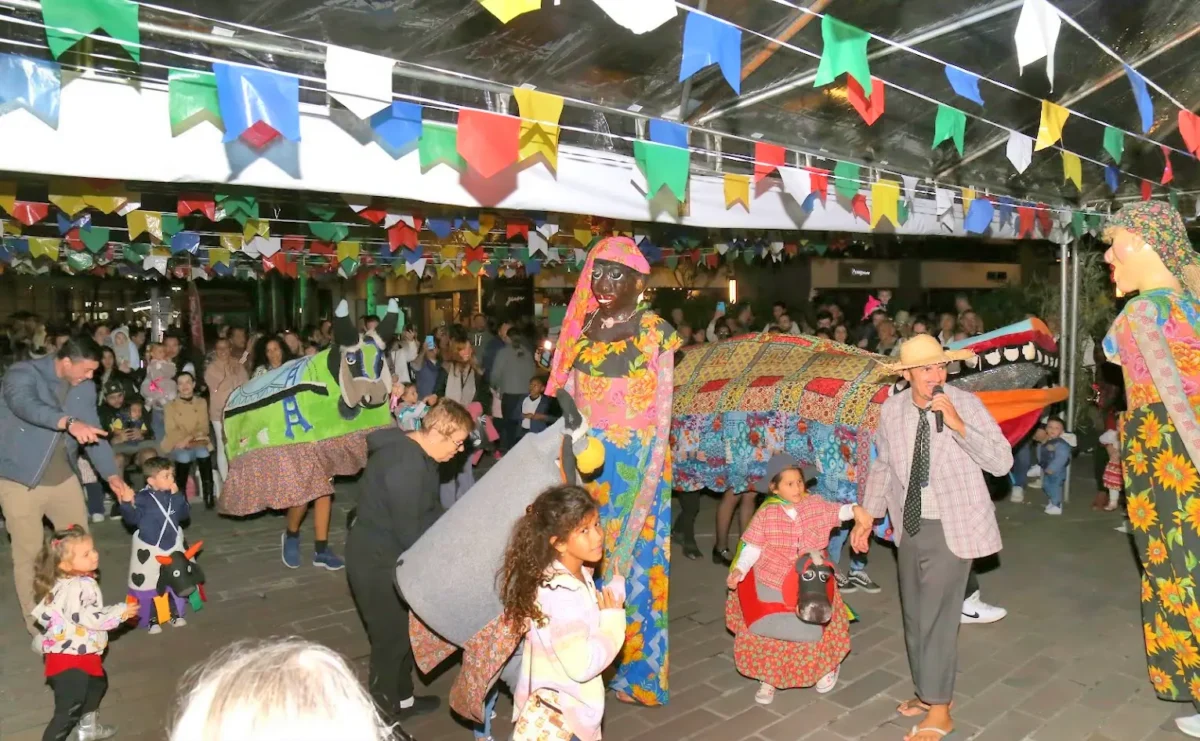 boi de mamao square