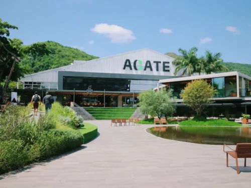 Startup Summit 2026 amplia conexões entre startups, empresas e mercados em Florianópolis