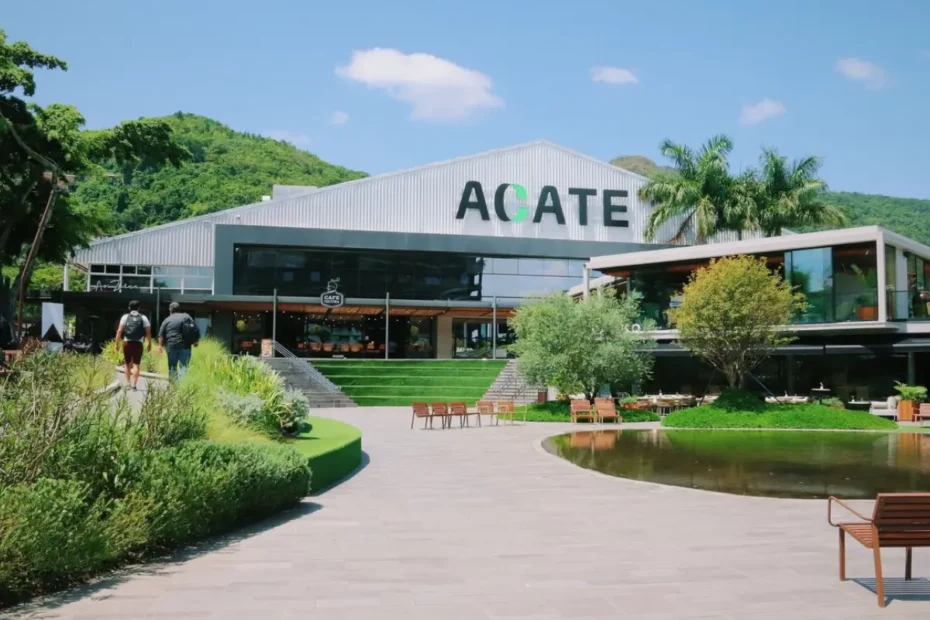 Startup Summit 2026 amplia conexões entre startups, empresas e mercados em Florianópolis