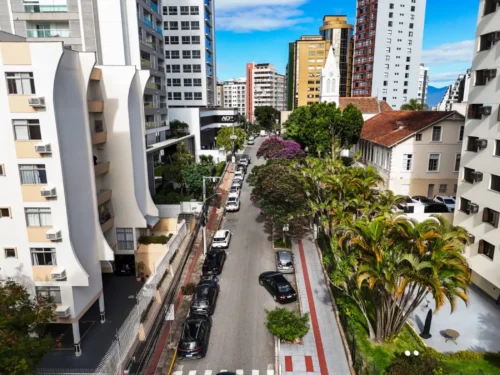 Plano de Arborização de Florianópolis começa oficinas nos bairros nesta quinta