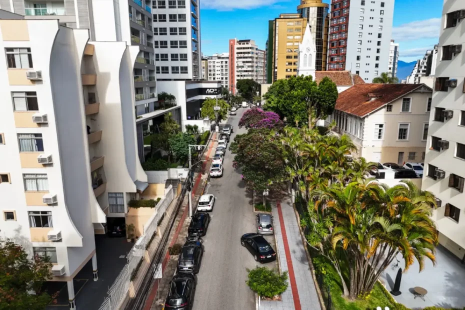 Plano de Arborização de Florianópolis começa oficinas nos bairros nesta quinta