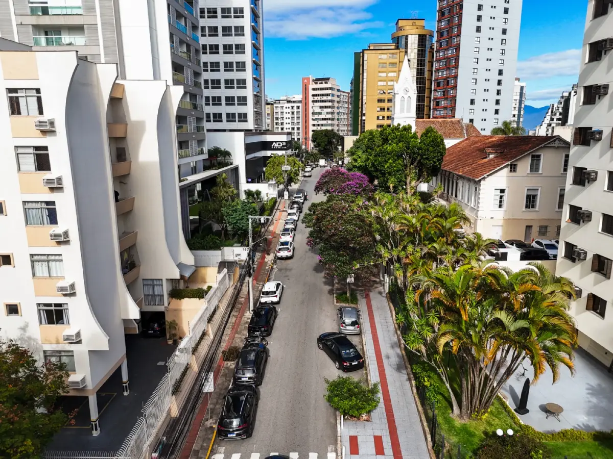 Plano de Arborização de Florianópolis começa oficinas nos bairros nesta quinta