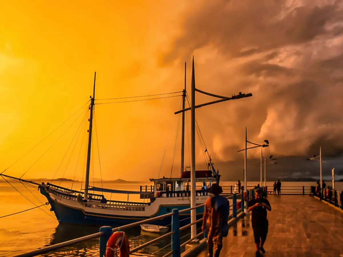 “O Lápis da Natureza”: Florianópolis celebra 200 anos da fotografia com exposição que reúne 79 imagens de 48 fotógrafos