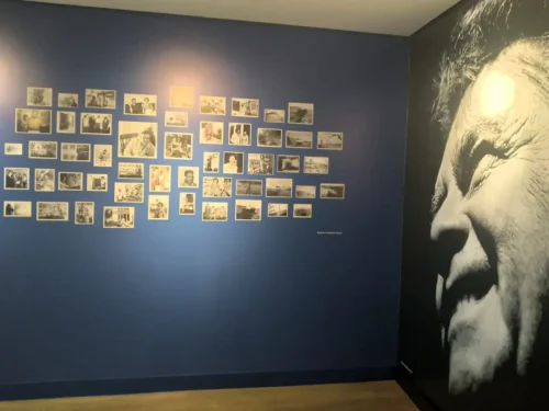 Mostra Hassis ambiental Foto NProducoes