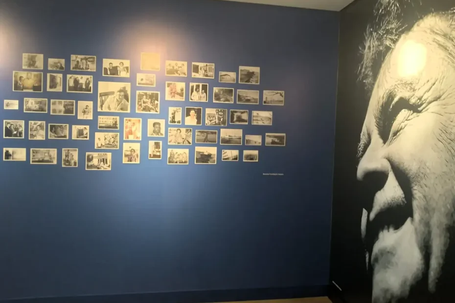 Mostra Hassis ambiental Foto NProducoes