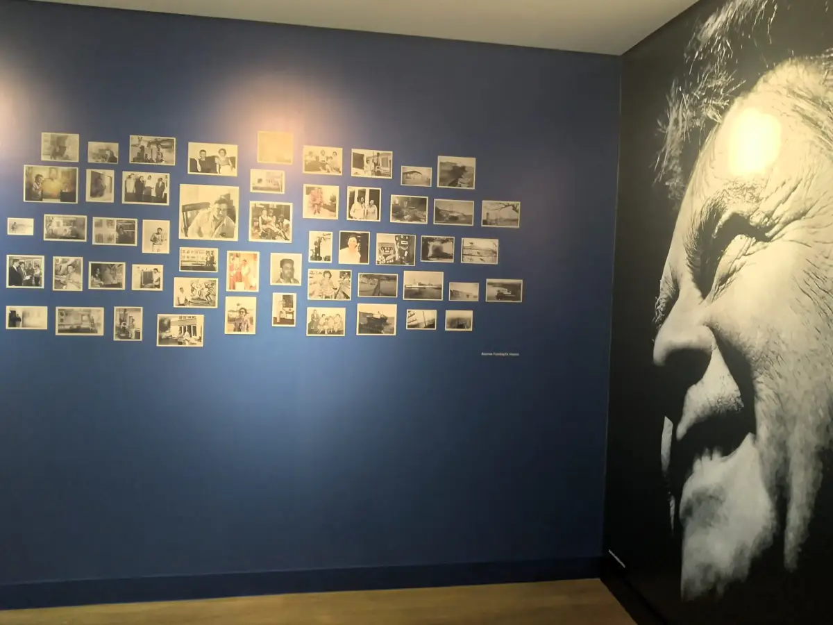 Mostra Hassis ambiental Foto NProducoes