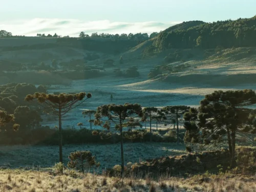 Frio em Santa Catarina se intensifica no fim de semana, com mínimas perto de 0°C