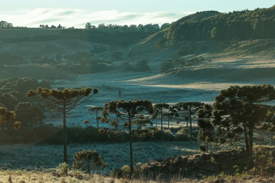 Frio em Santa Catarina se intensifica no fim de semana, com mínimas perto de 0°C