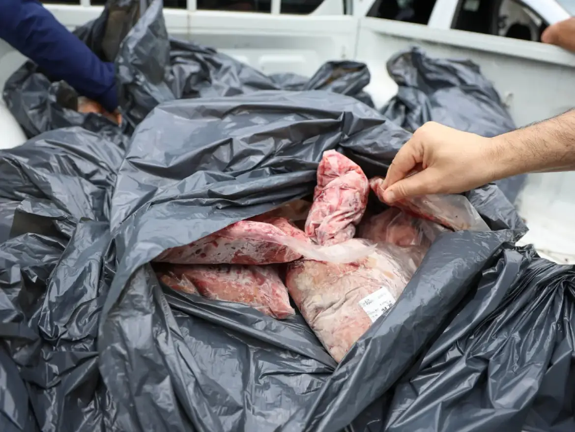 Carnes irregulares